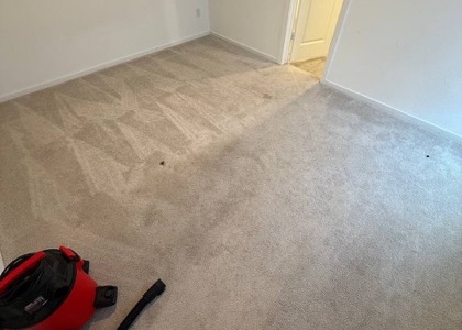 Whole-Room Carpet Cleaning carpet cleaning, photo 2