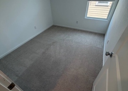 Whole-Room Carpet Cleaning carpet cleaning, photo 3