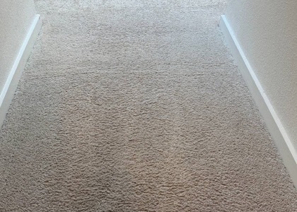 Whole-Room Carpet Cleaning carpet cleaning, photo 4