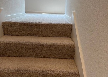 Whole-Room Carpet Cleaning carpet cleaning, photo 5