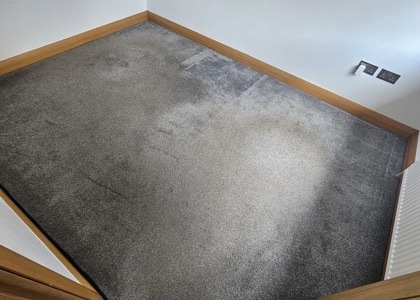 Residential Fiber Refresh carpet cleaning project