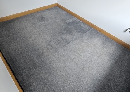 Residential Fiber Refresh carpet cleaning, photo 2