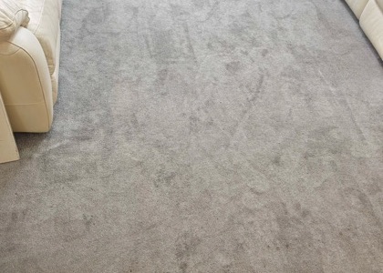 High-Traffic Carpet Reset carpet cleaning project