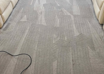 High-Traffic Carpet Reset carpet cleaning, photo 2