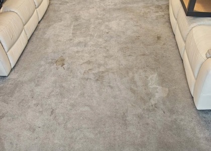 High-Traffic Carpet Reset carpet cleaning, photo 4
