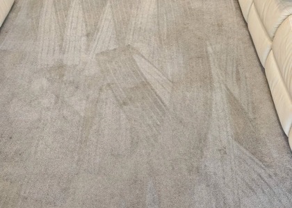 High-Traffic Carpet Reset carpet cleaning, photo 5