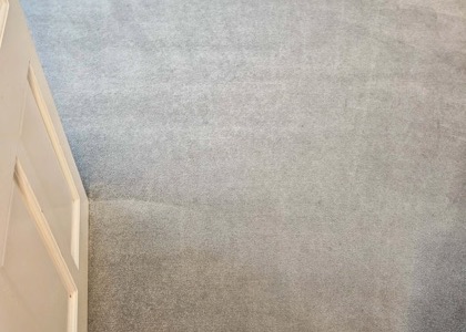 High-Traffic Carpet Reset carpet cleaning, photo 7