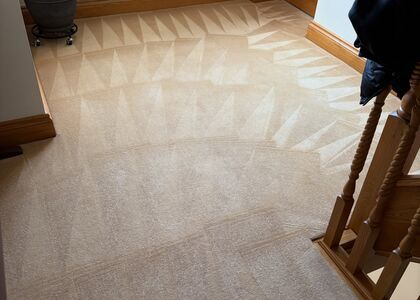 Detailed Home Carpet Care carpet cleaning, photo 2