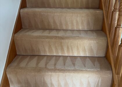 Detailed Home Carpet Care carpet cleaning, photo 3