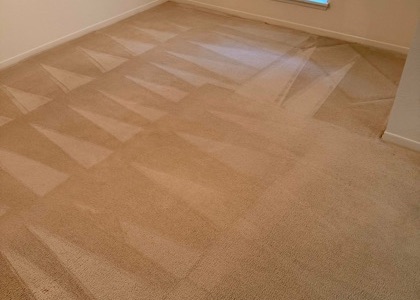 Fresh-Finish Carpet Cleaning carpet cleaning project