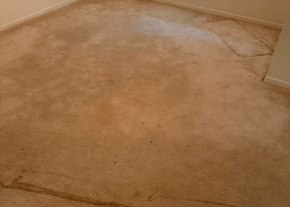 Fresh-Finish Carpet Cleaning carpet cleaning, photo 2