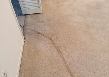 Fresh-Finish Carpet Cleaning carpet cleaning, photo 3