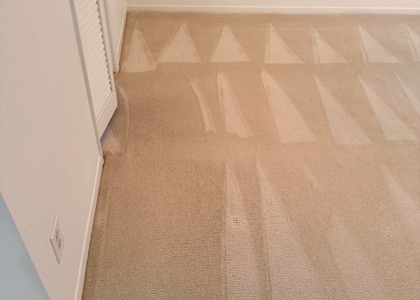 Fresh-Finish Carpet Cleaning carpet cleaning, photo 4