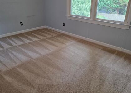 Rental Turnover Carpet Care carpet cleaning, photo 2