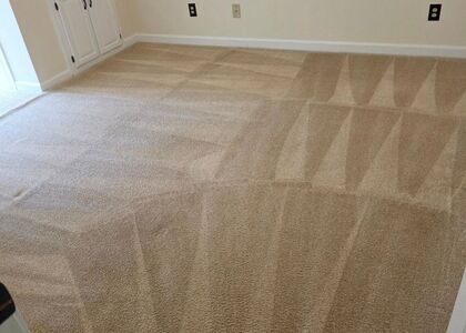 Rental Turnover Carpet Care carpet cleaning, photo 3