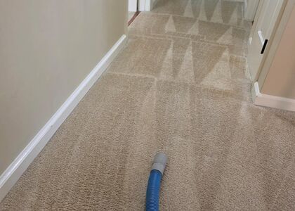 Rental Turnover Carpet Care carpet cleaning, photo 4