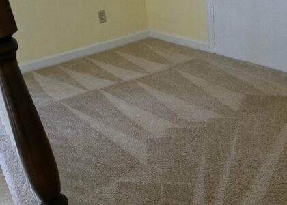 Rental Turnover Carpet Care carpet cleaning, photo 5