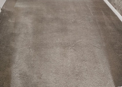 Clean carpet in a home served by Blue Pacific Carpet Care